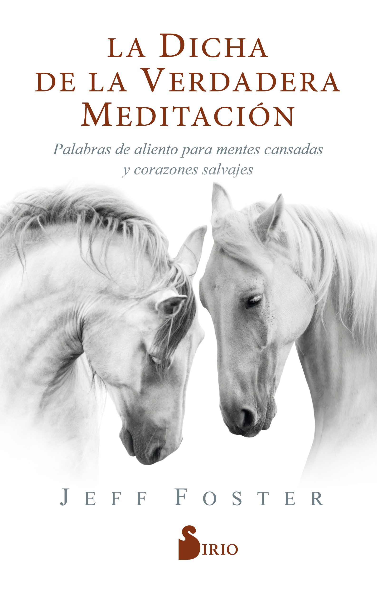 La dicha de la verdadera meditación. Palabras de aliento para mentes cansadas y corazones salvajes