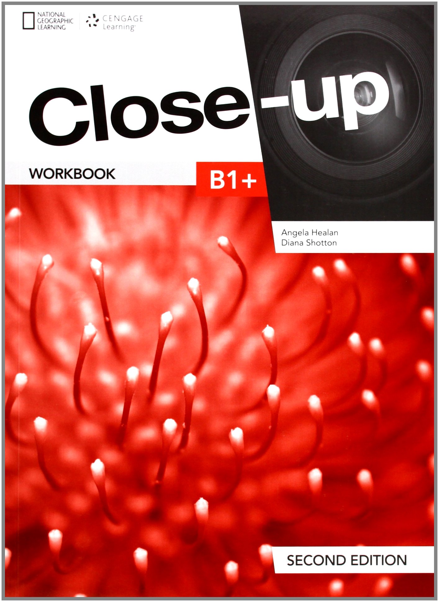 Close-up B1+: Workbook