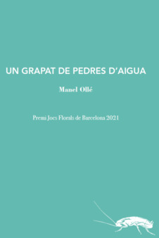 Un grapat de pedres d'aigua (Premi Jocs Florals de Barcelona 2021)