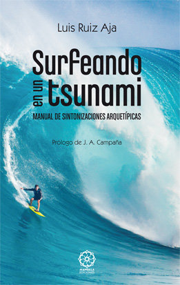 SURFEANDO EN UN TSUNAMI