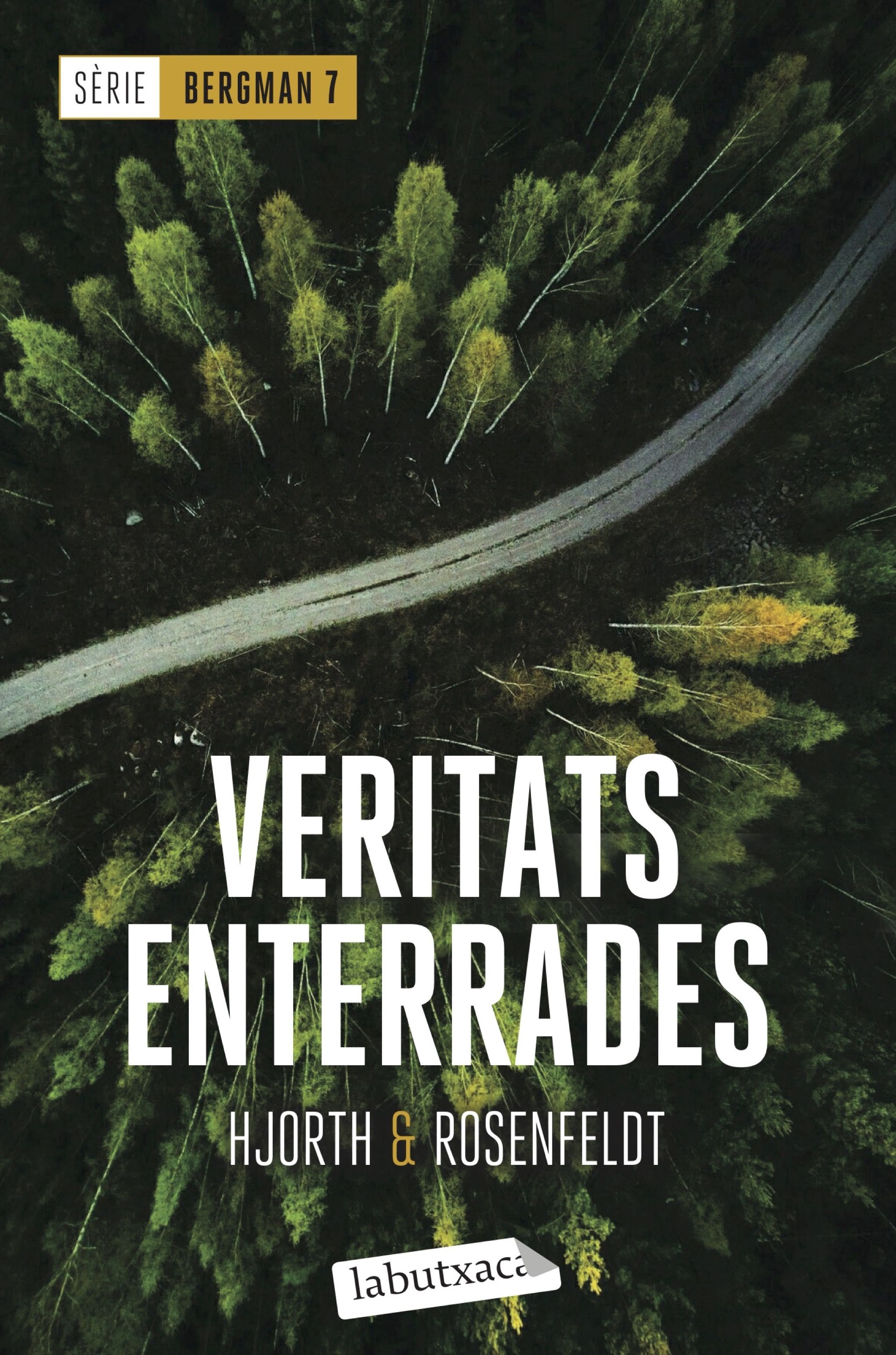 Veritats enterrades. Sèrie Bergman 7