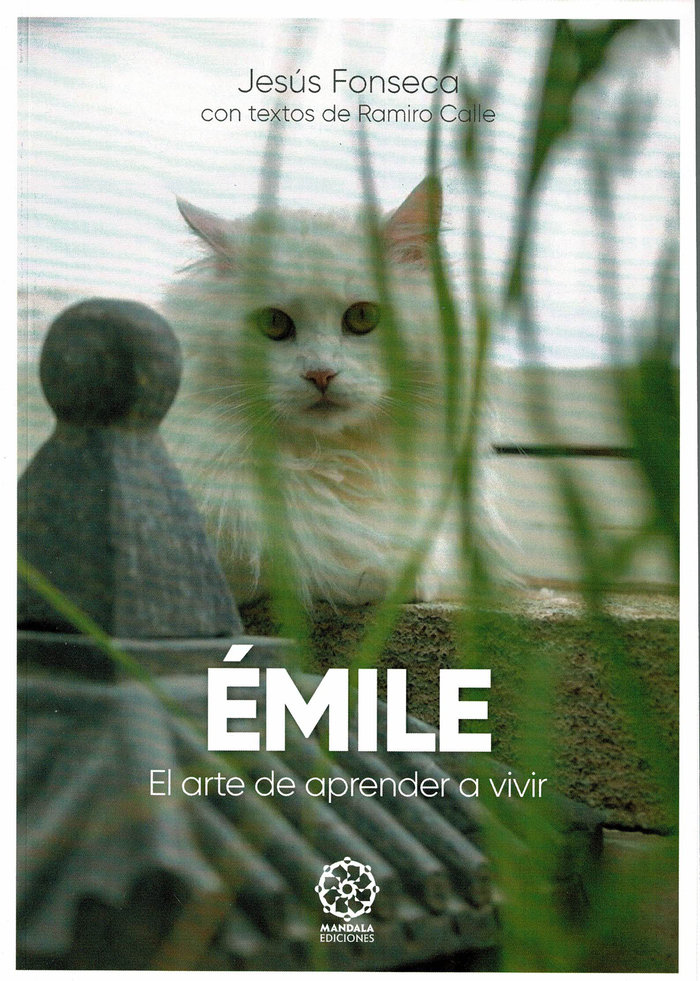 Émile. El arte de aprender a vivir