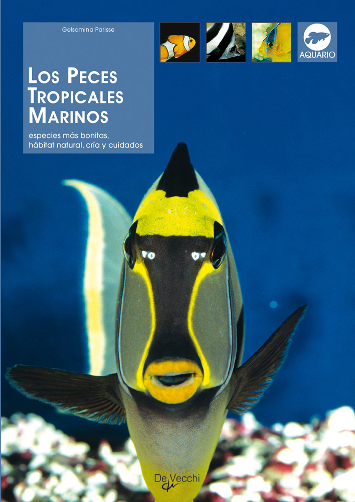 Los Peces  tropicales marinos