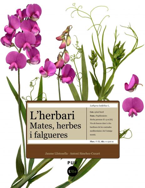 L'herbari. Mates, herbes i falgueres