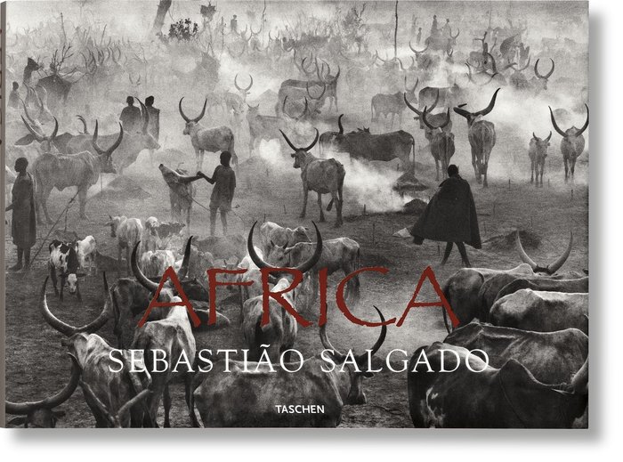 Salgado africa (in/fr/al)