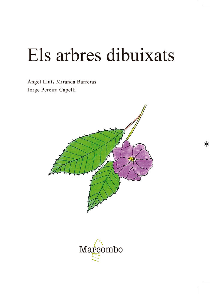 Els arbres dibuixats