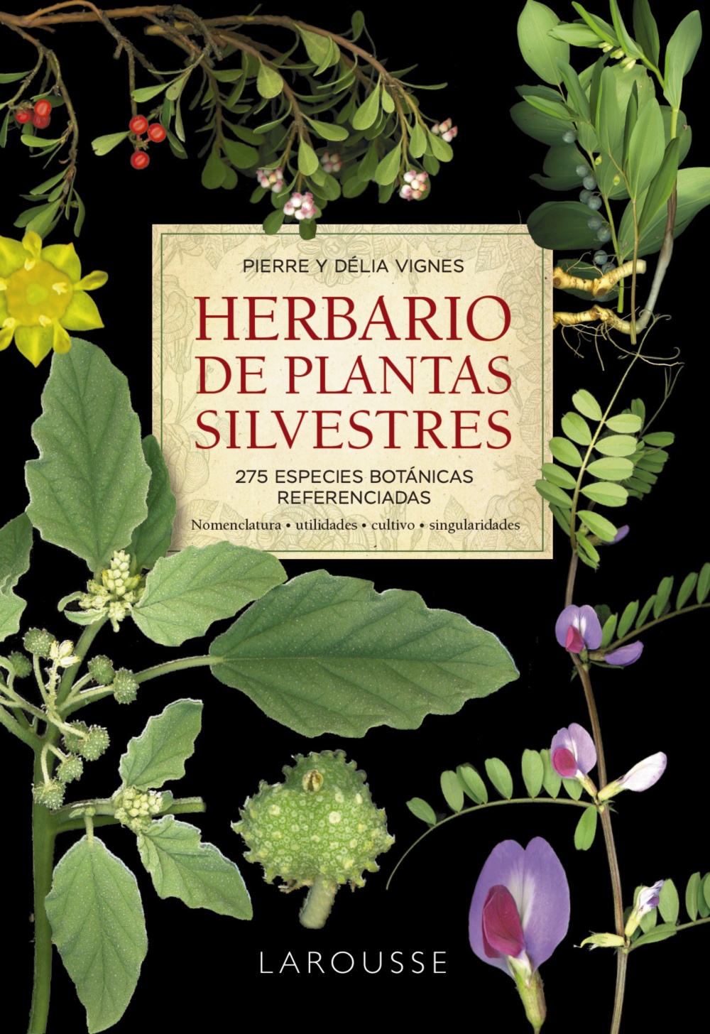 Herbario de plantas silvestres. 275 especies botánicas referenciadas