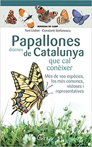 Papallones diürnes de Catalunya. Que cal conèixer (Miniguia de camp)