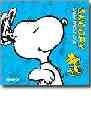 Calendario Snoopy 2010 (taco)