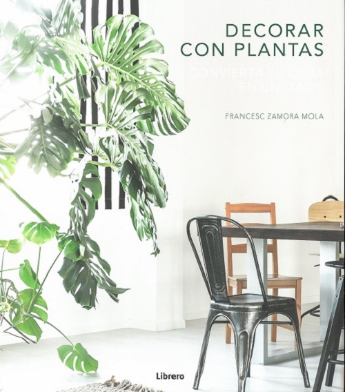 Decorar con plantas. Convierta su casa en un oasis