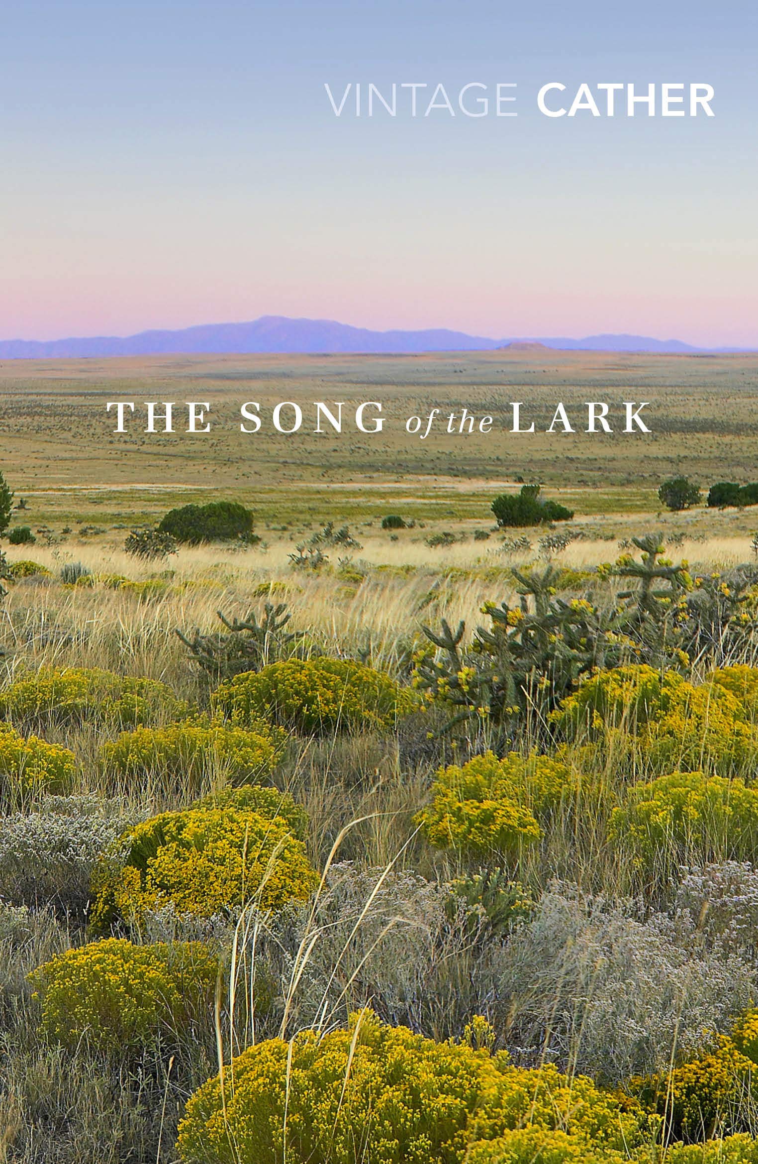 The Song Of The Lark