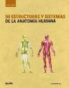 50 estructuras y sistemas de la anatomía humana