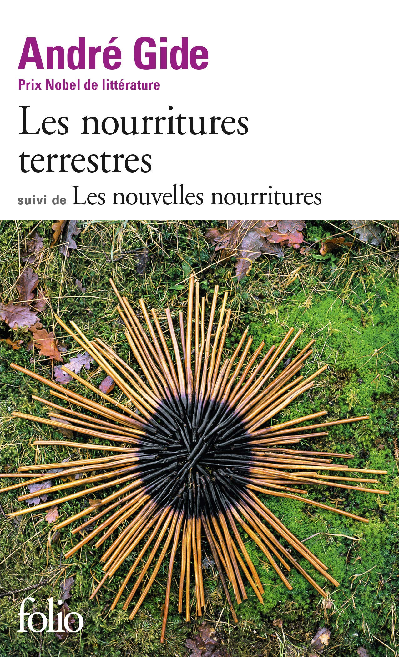 Les Nourritures terrestres (Suivi de Les nouvelles nourritures)