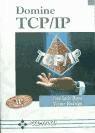 Domine TCP/IP