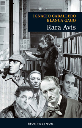 Rara Avis