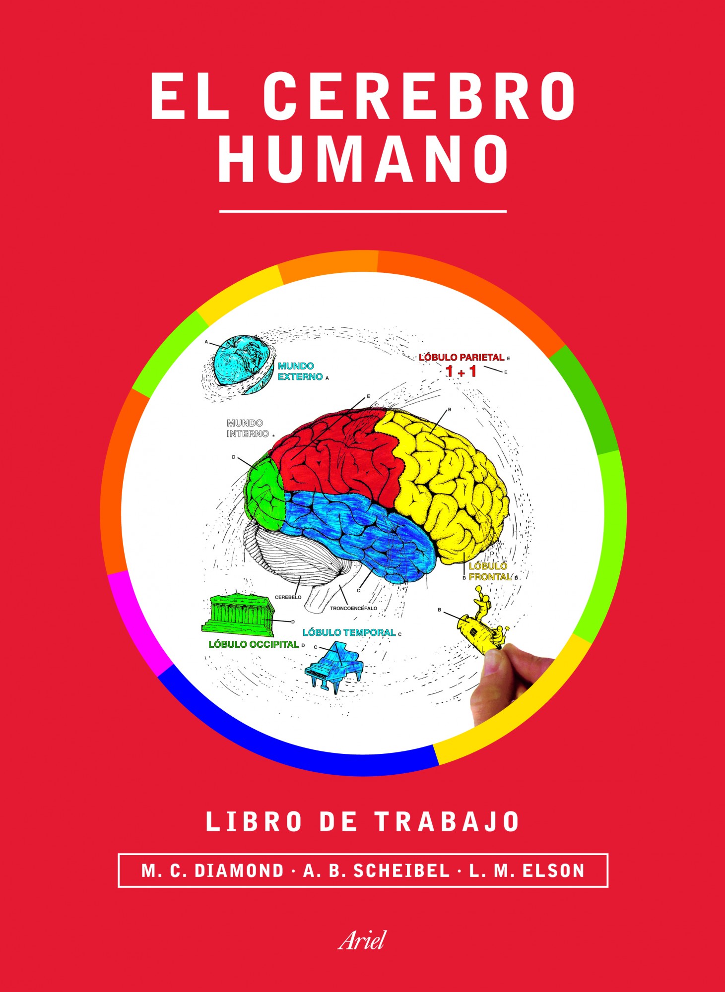 El cerebro humano : Libro de trabajo (Nueva Edición)