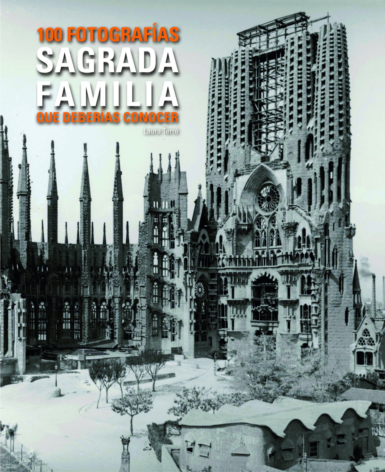 Sagrada Família. 100 fotografies que hauries de conèixer (Català/Francès)