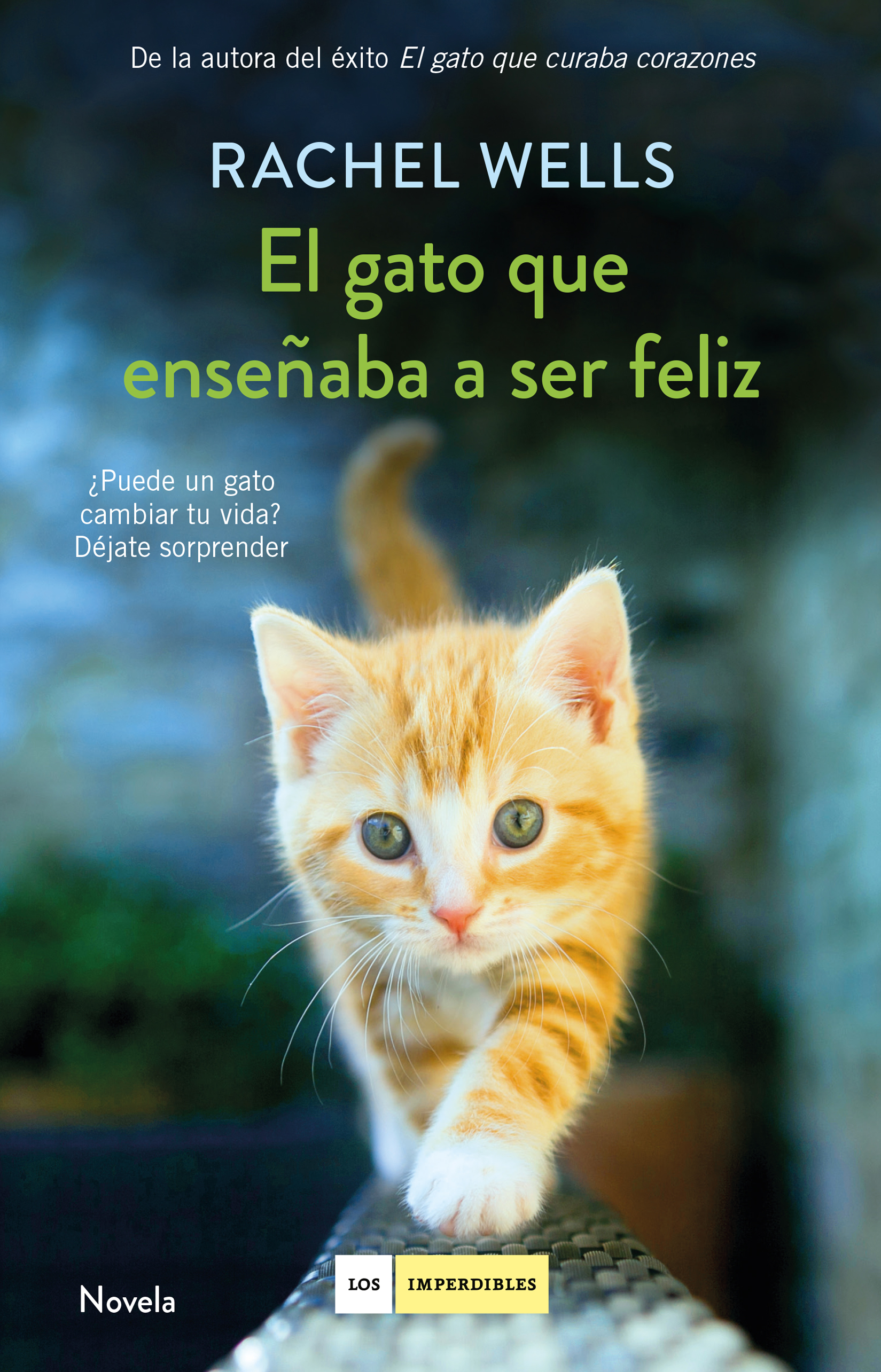 El gato que enseñaba a ser feliz