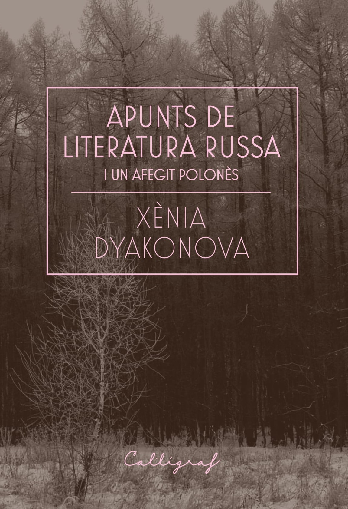 Apunts de literatura russa i un afegit polonès