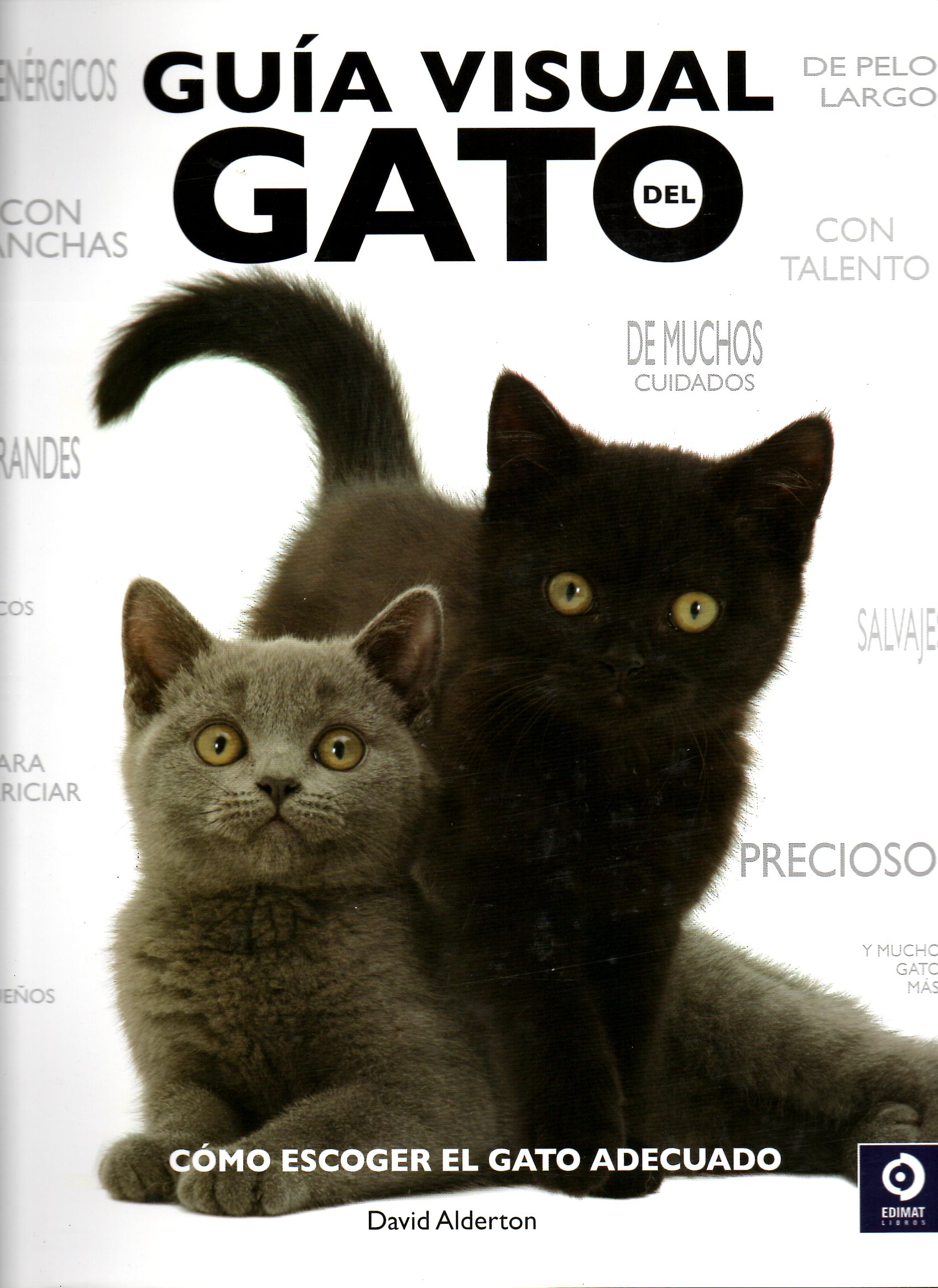 Guía visual del gato