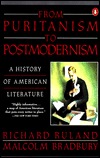 From purianism to postmodernism. A history of American literature