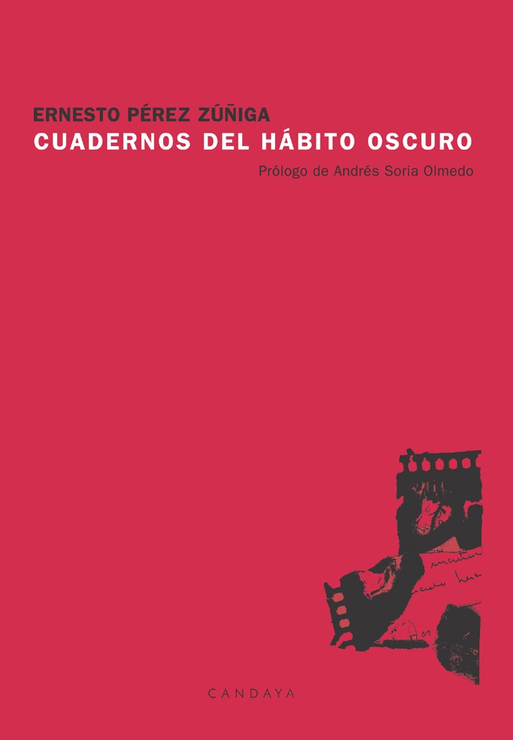 Cuadernos del hábito oscuro