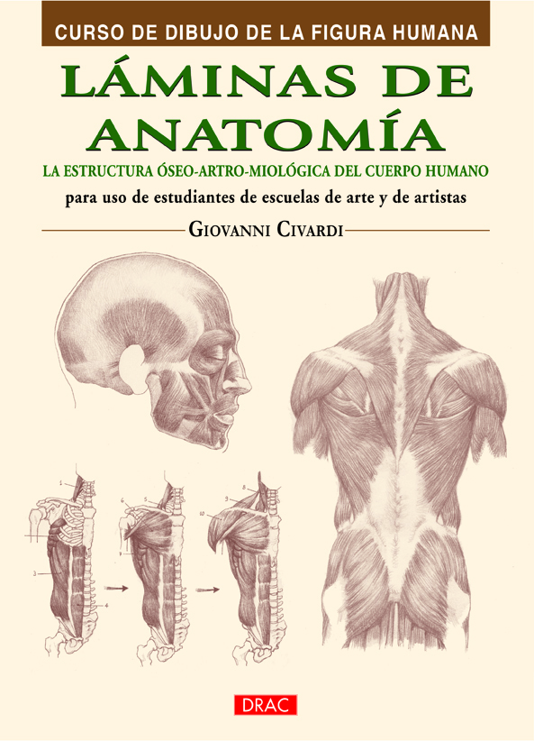 Láminas de anatomía. La estructura óseo-artro-miológica del cuerpo humano para uso de estudiantes de escueltas de arte y artistas