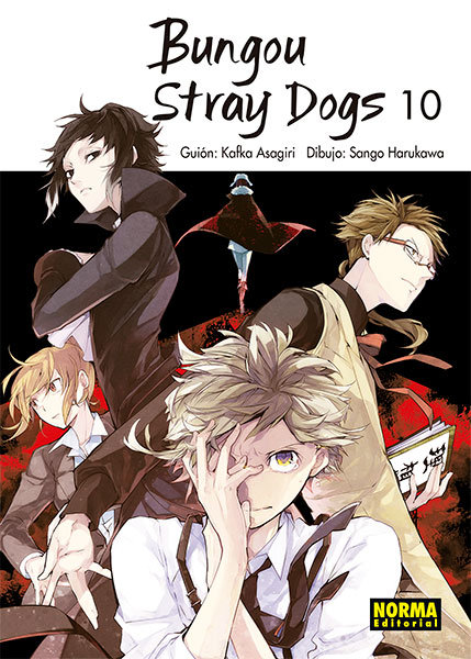 Bungou stray dogs 10