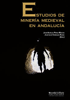 Estudios de minería medieval en Andalucía