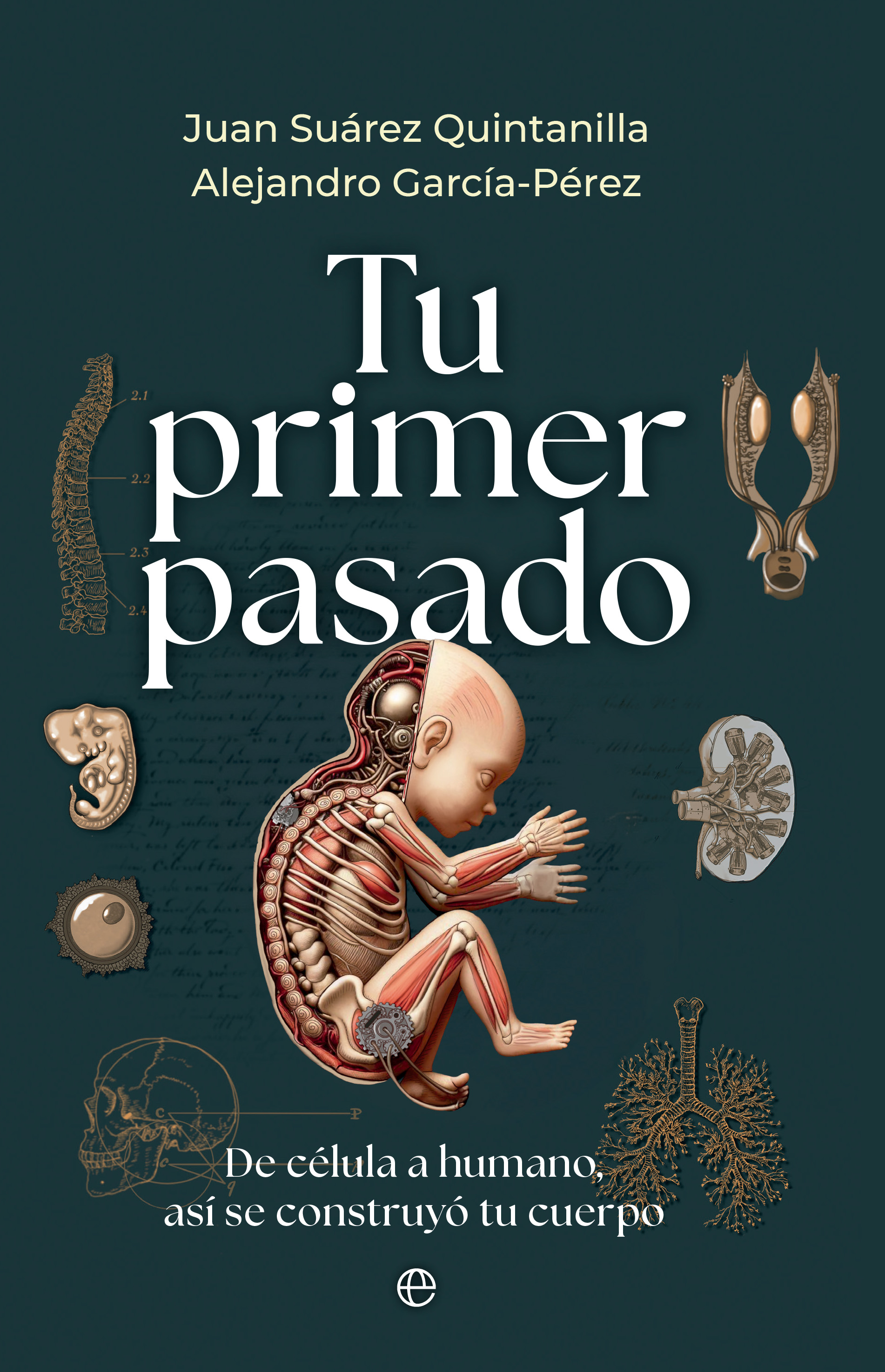 Tu primer pasado. De célula a humano, así se construyó tu cuerpo