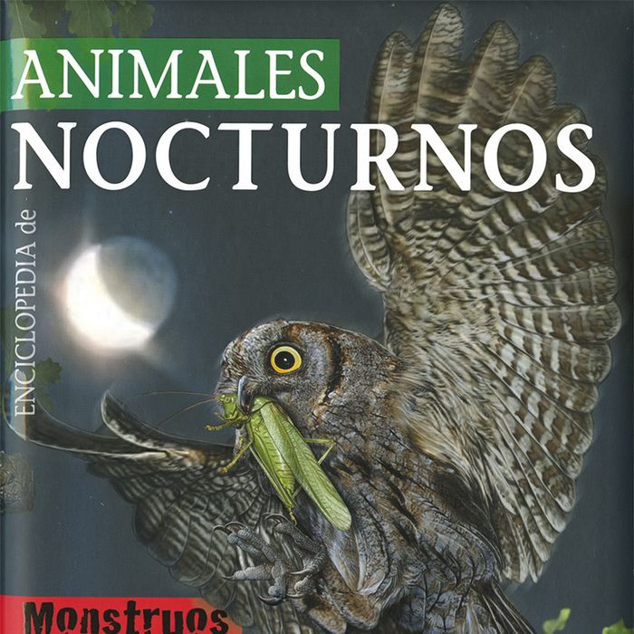 Animales nocturnos