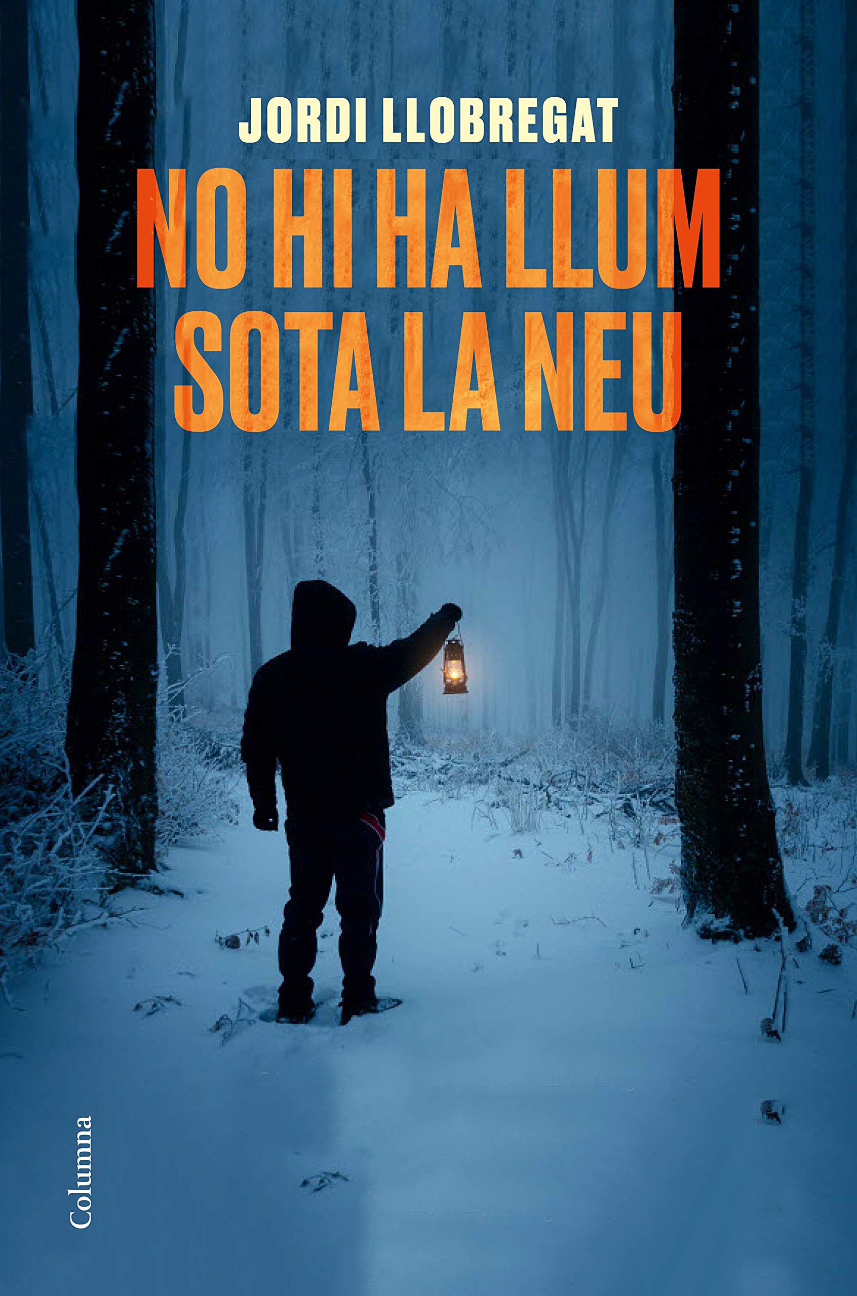 No hi ha llum sota la neu