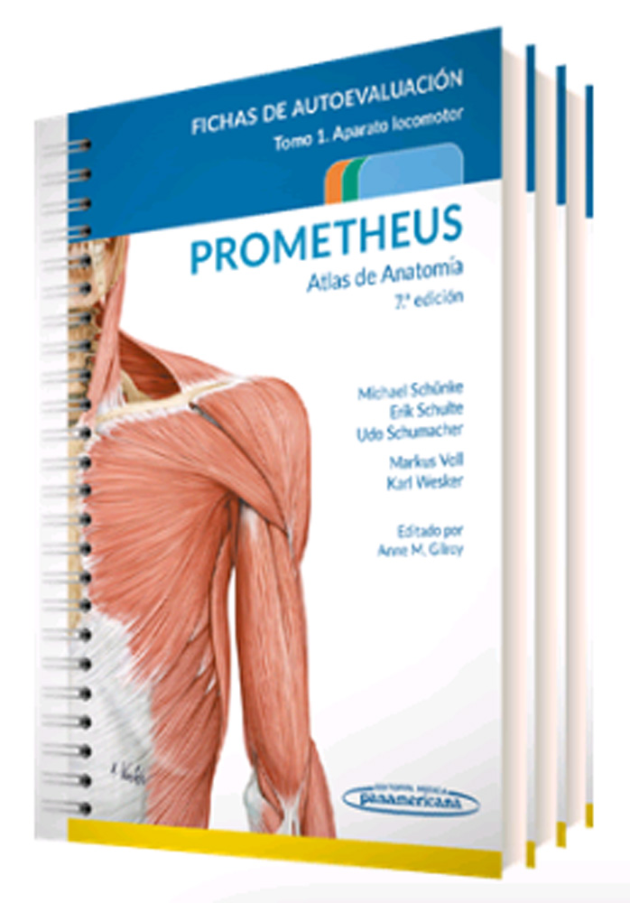 Prometheus. Atlas de Anatomía. Fichas de autoevaluación (Colección 3 tomos)