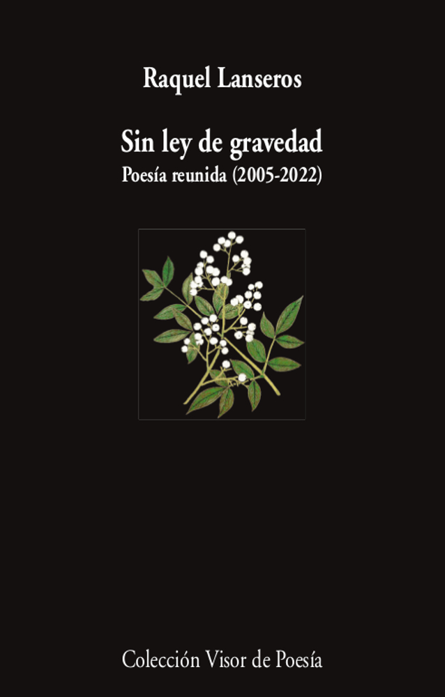 Sin ley de gravedad. Poesía reunida