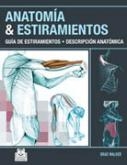 Anatomía y estiramientos