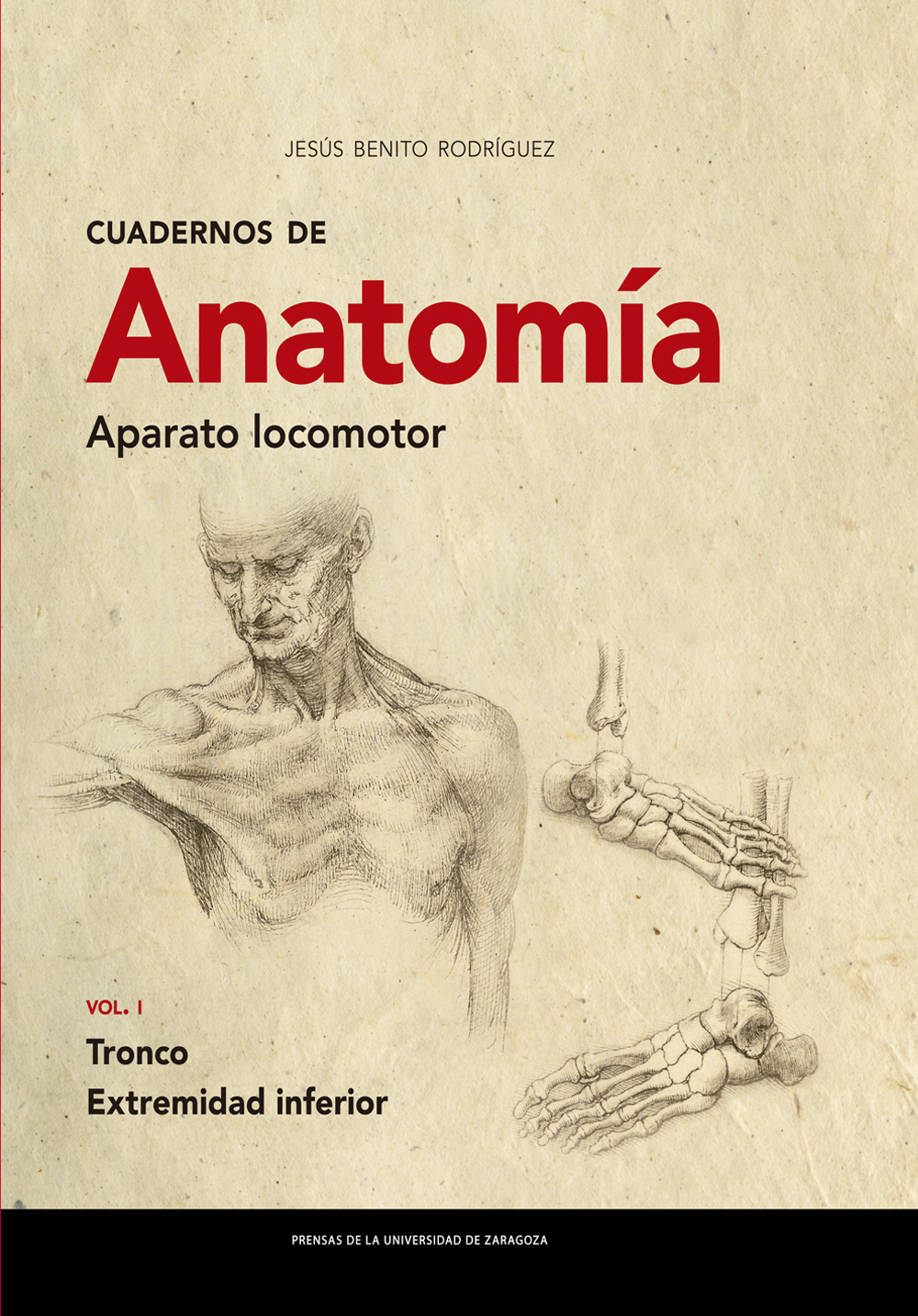 Cuadernos de Anatomía. Aparato locomotor. Vol. I Tronco. Extremidad inferior