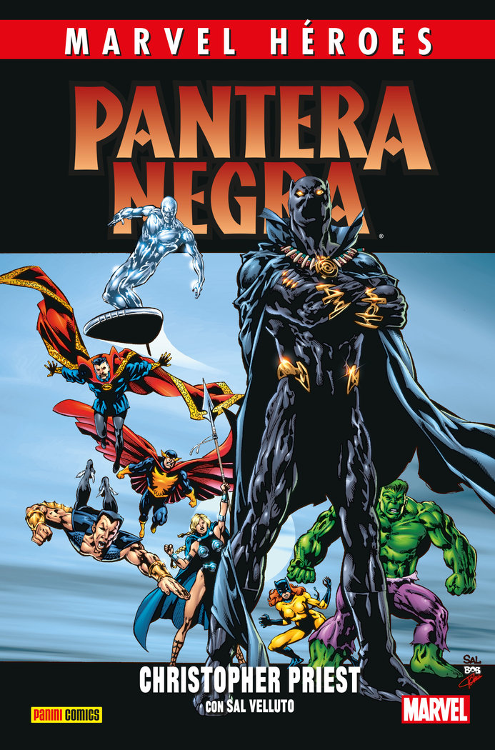 Marvel heroes 110 pantera negra 2