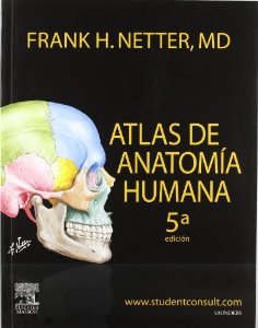 Netter. Atlas de anatomía humana