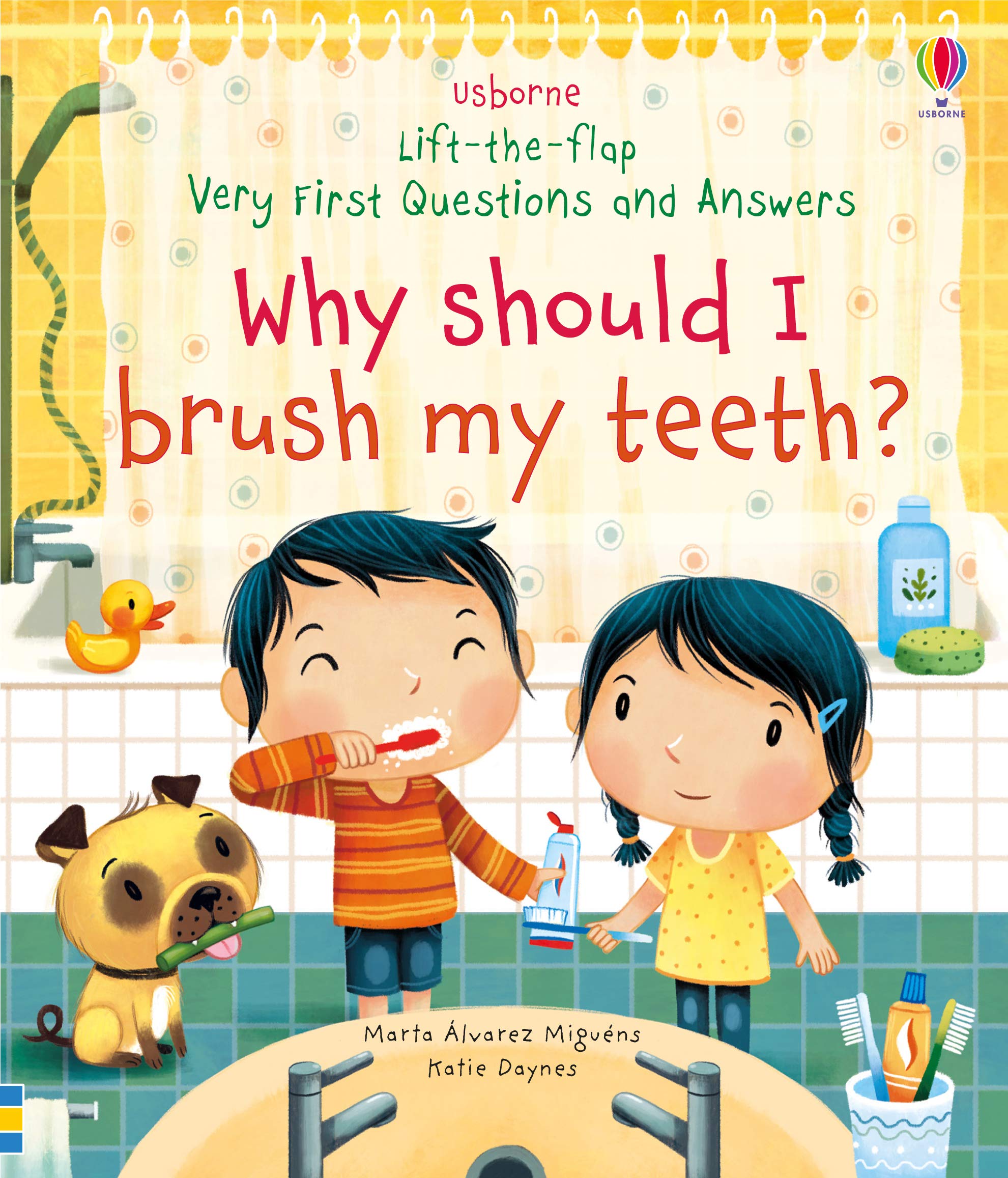 Why Should I Brush My Teeth? (Very First Lift-the-Flap Questions and Answers)