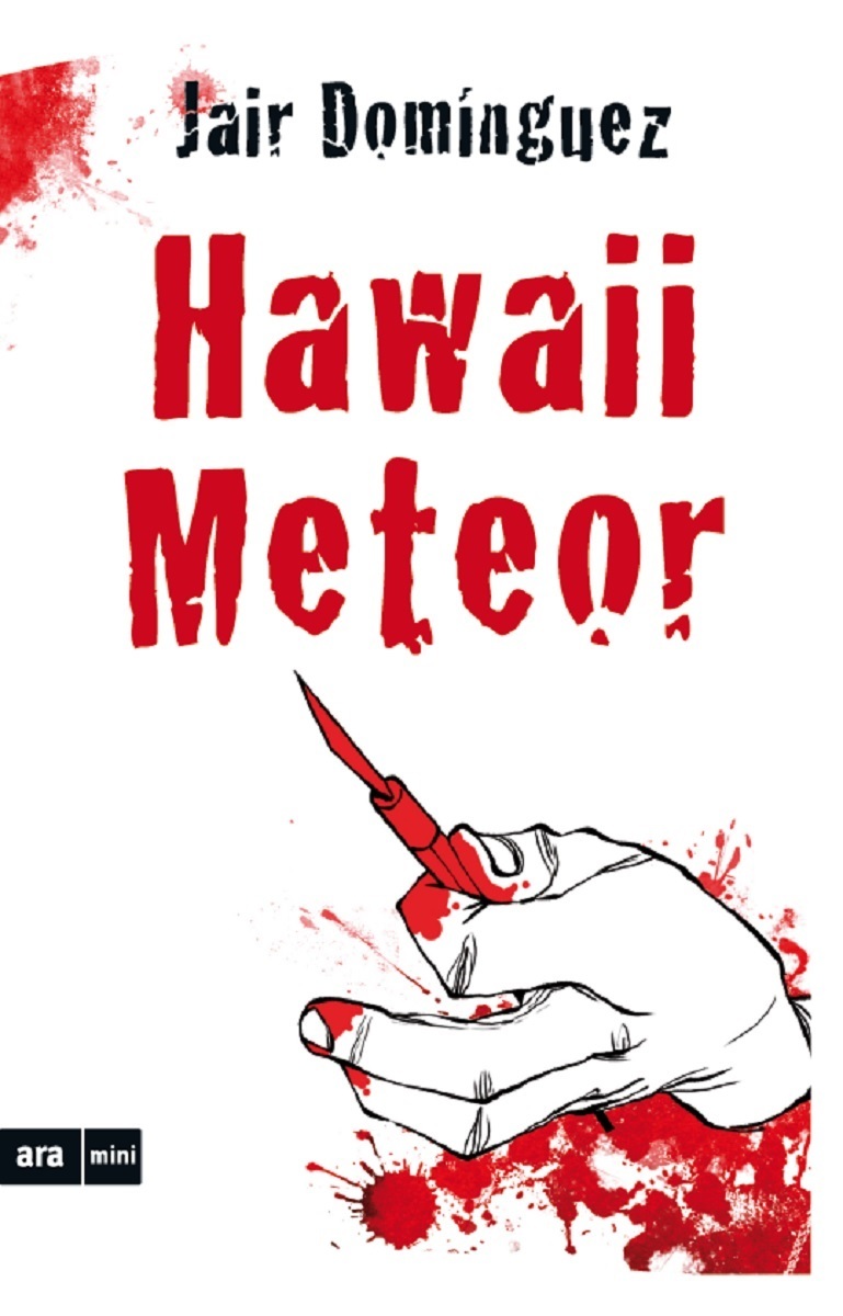 Hawaii Meteor