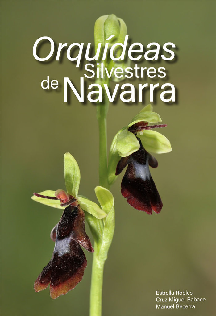 Orquídeas silvestres de Navarra