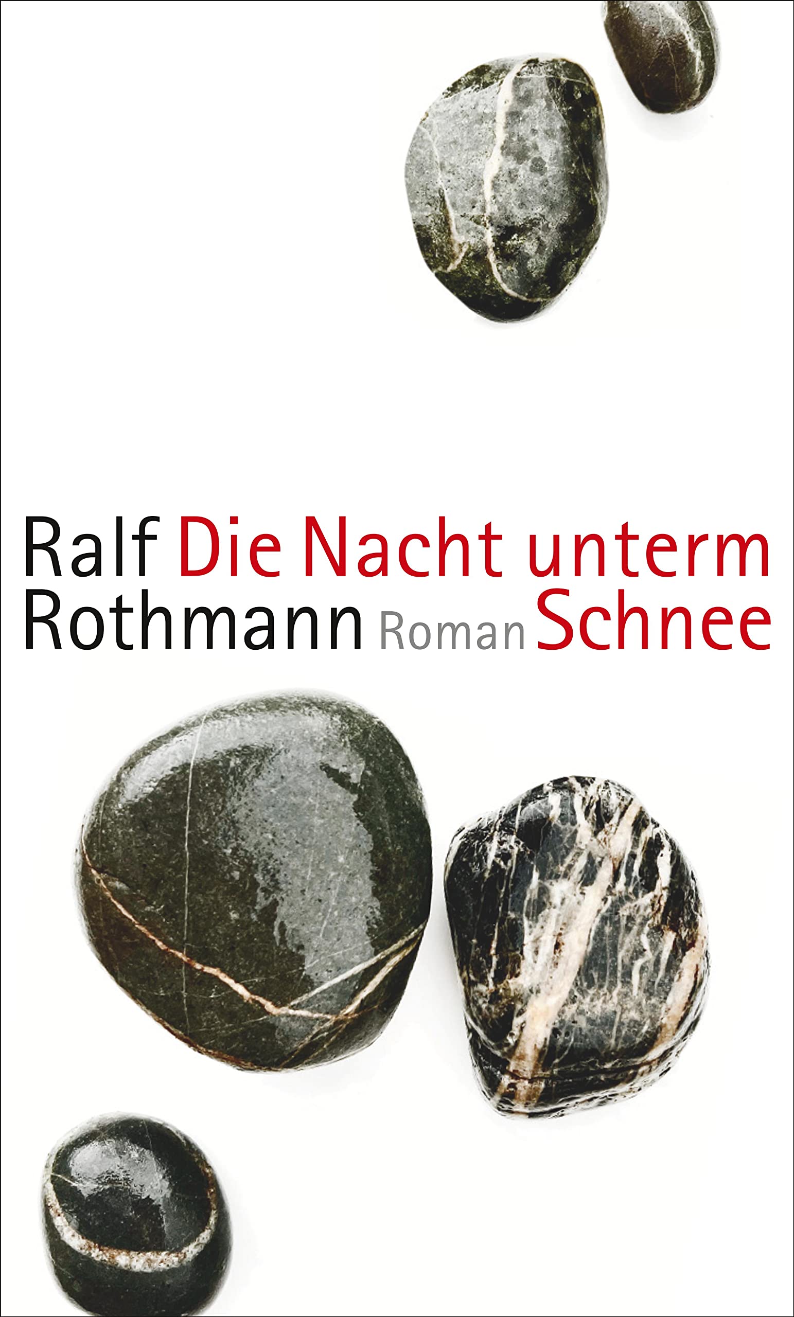 Die Nacht unterm Schnee: Roman