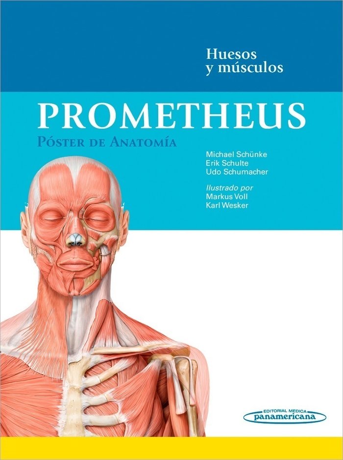 PROMETHEUS:Poster Anatomia.Huesos-Musc.