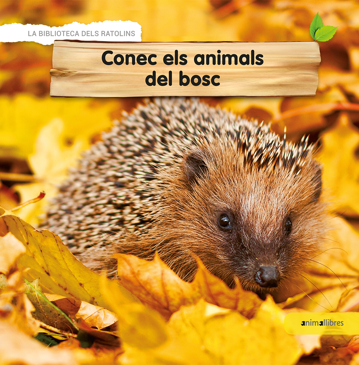 Conec els animals del bosc