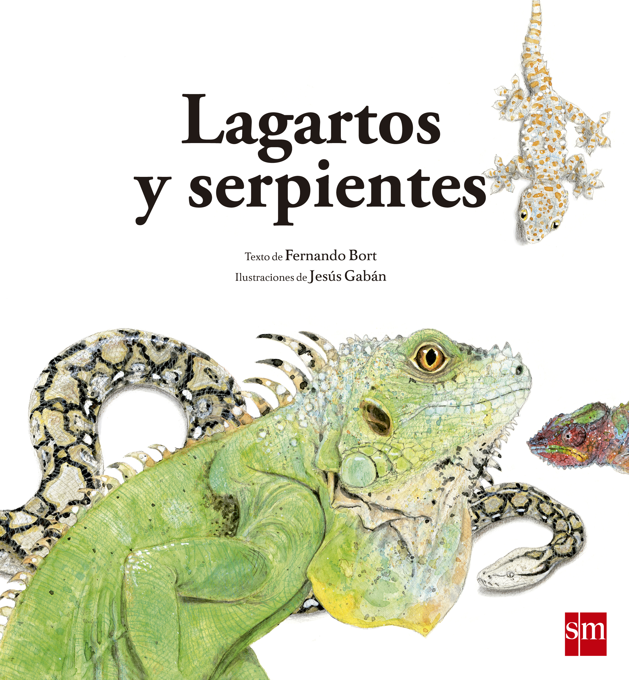 Lagartos y serpientes