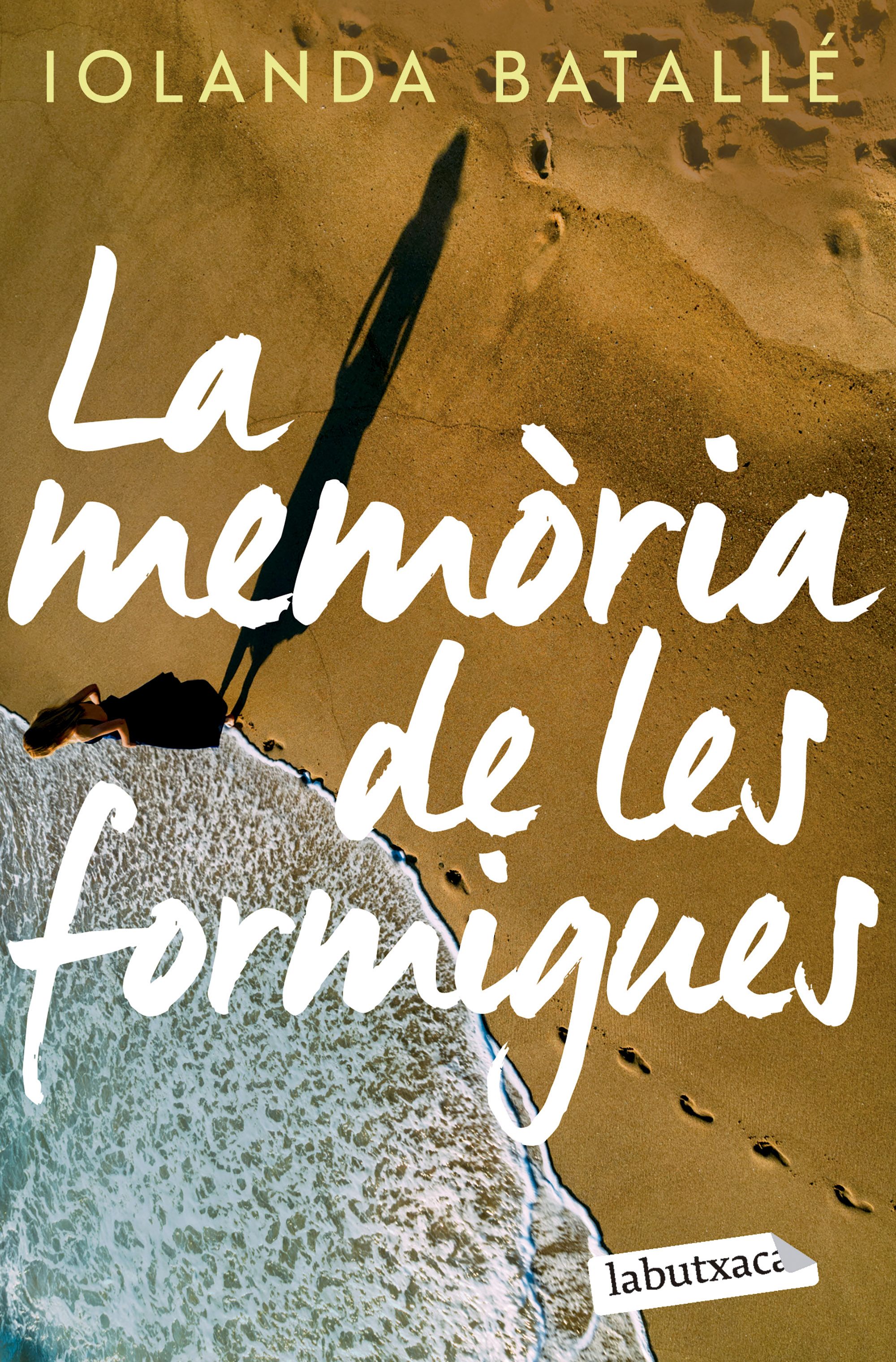 La memòria de les formigues