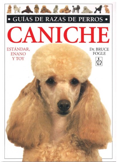 Caniche. Estándar, enano y toy.