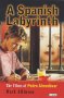 A spanish labyrinth : The films of Pedro Almodóvar