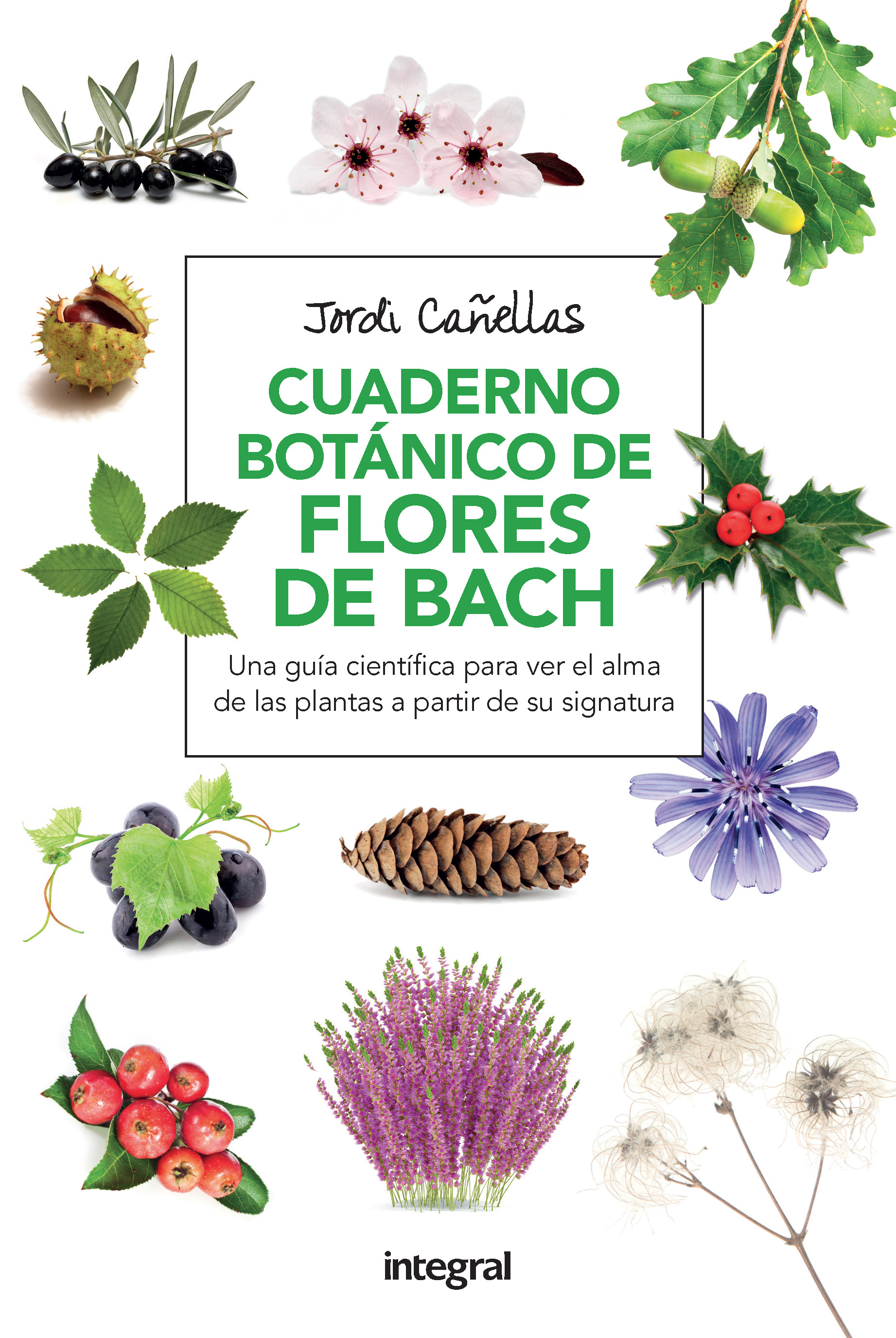 Cuaderno botanico flores de bach 2ª ed.