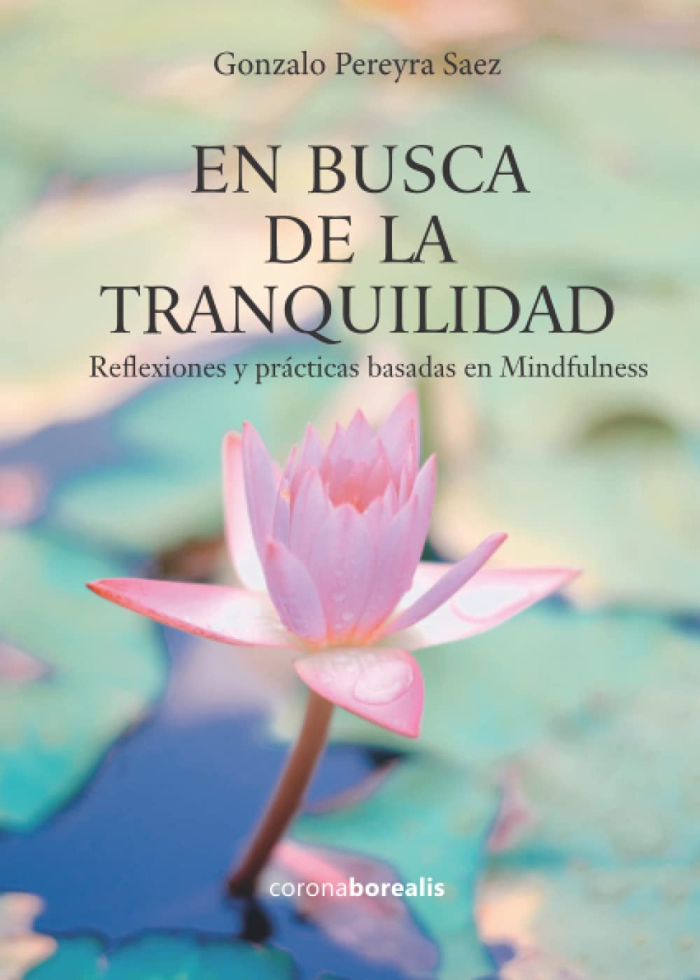 En busca de la tranquilidad. Reflexiones y prácticas basadas en Mindfulness